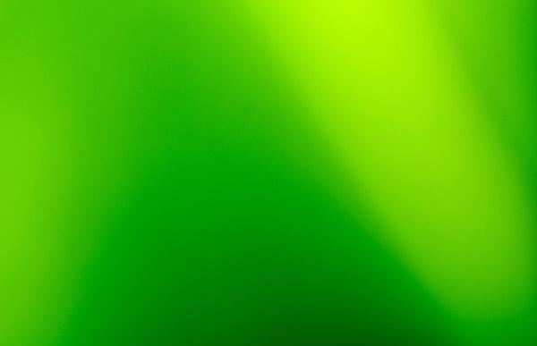 Ý nghĩa màu xanh lá cây – Màu xanh lá trong thiết kế nội thất