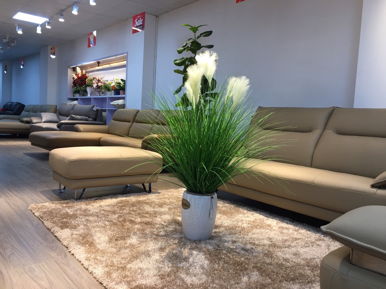 Reeds 2018 (bông lau)