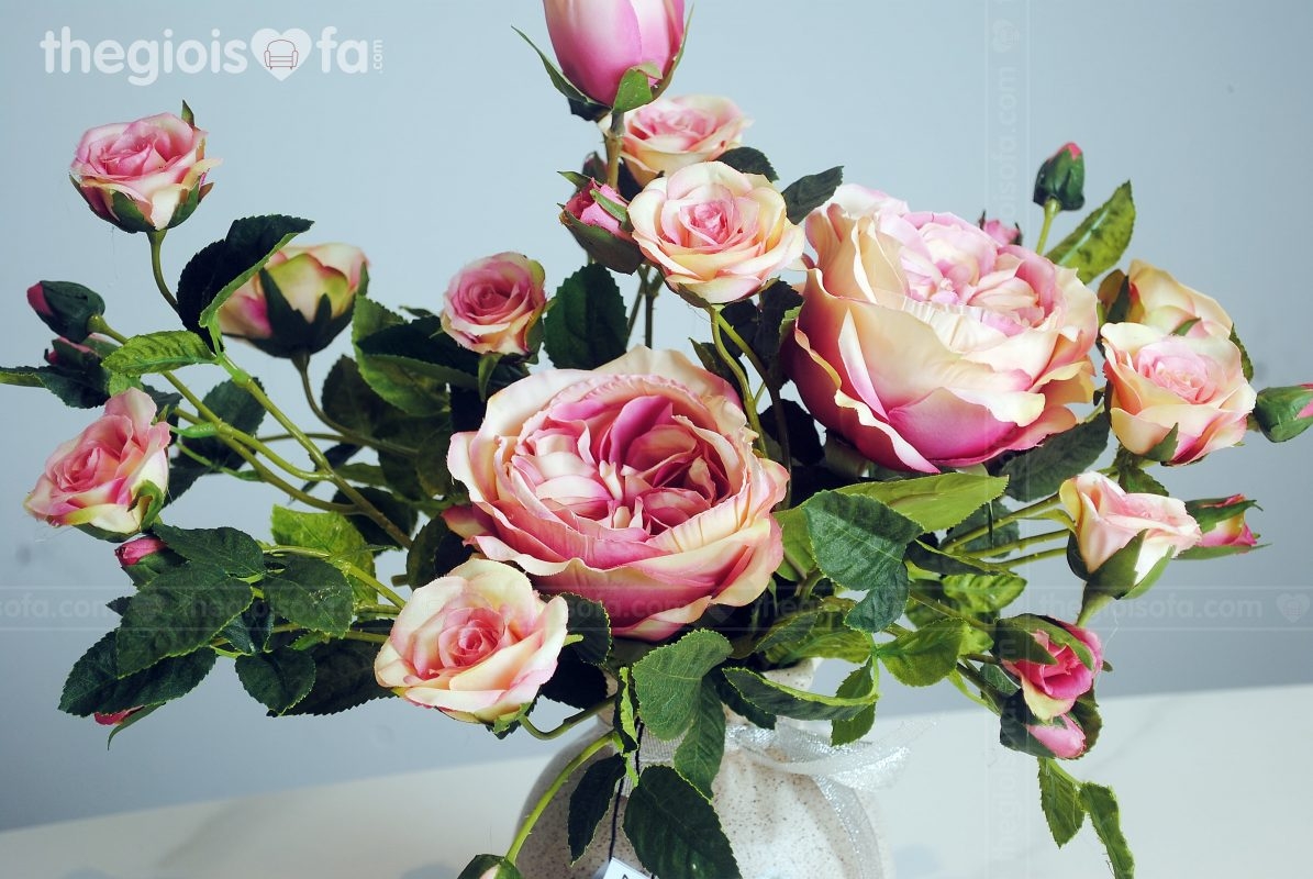 Rose 2002 (hoa hồng)