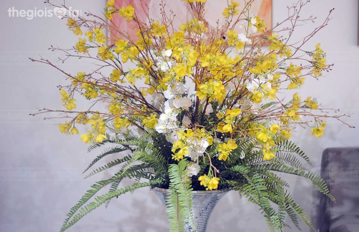American apricot flowers (hoa mai mỹ vàng)