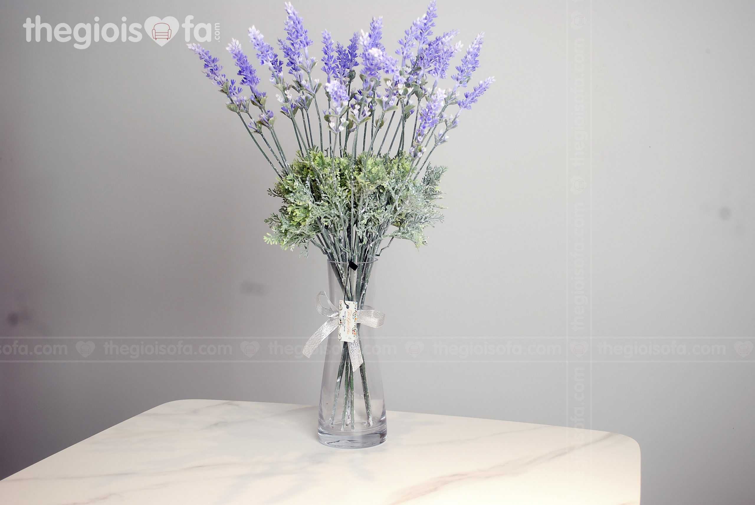 Lavender (Hoa oải hương)