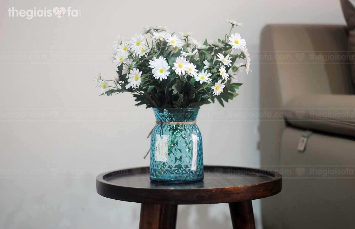 Chrysanthemum white lashes (cúc họa my trắng)