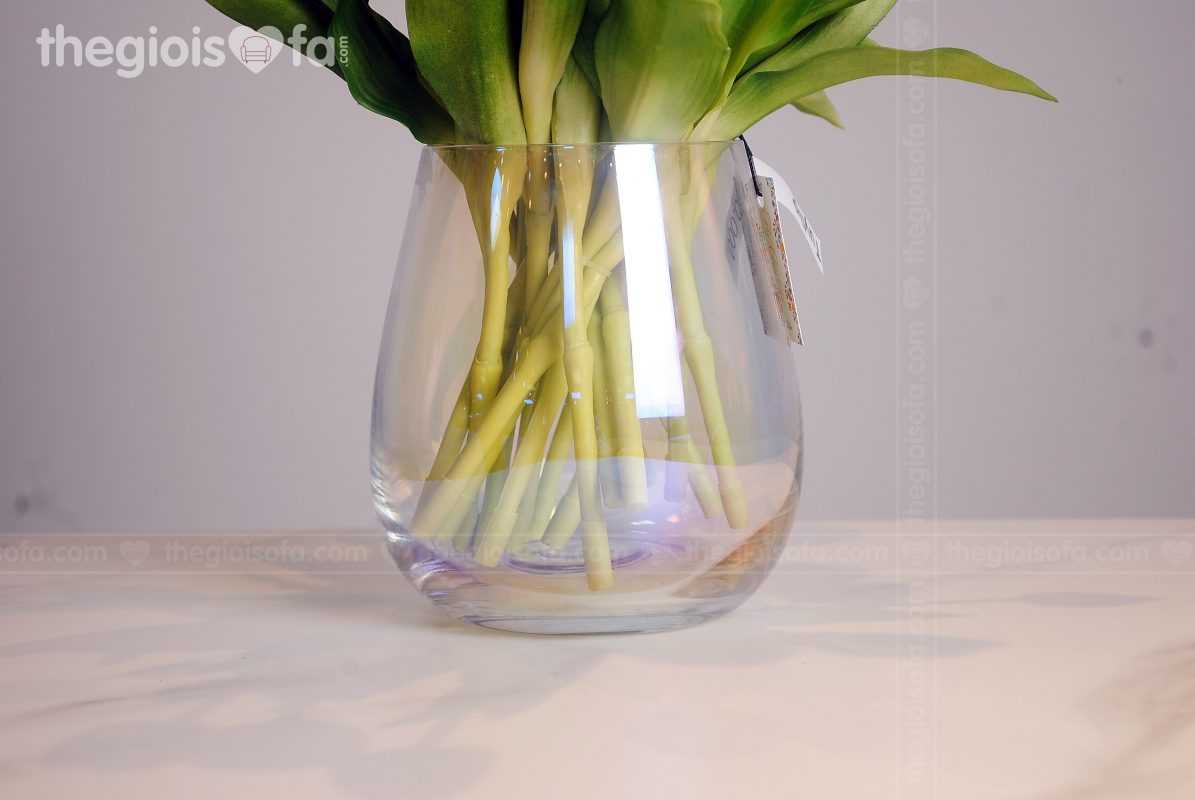 Tulip 2021 (hoa Tulip)