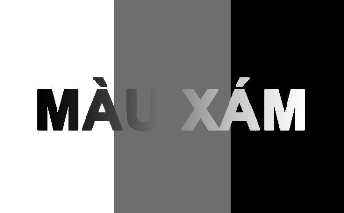 Ý nghĩa màu xám? Khám phá tính cách của người yêu thích màu xám