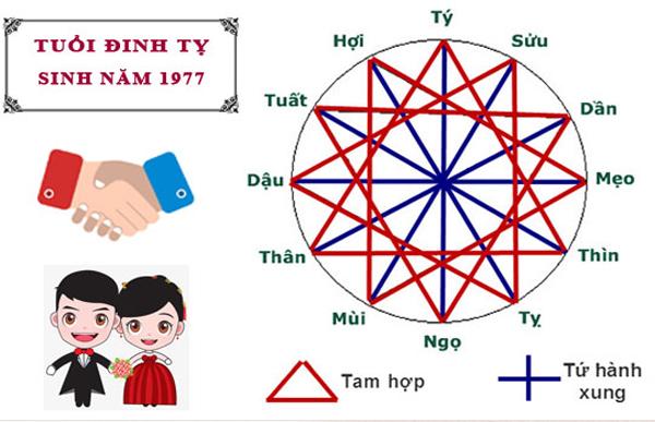 Các tuổi hợp với Đinh Tỵ