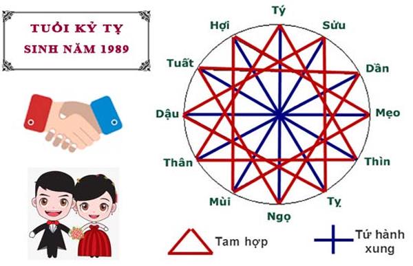 Các tuổi hợp với tuổi Kỷ Tỵ