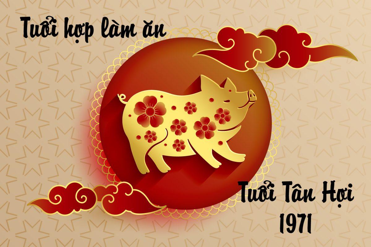 1971 hợp tuổi gì