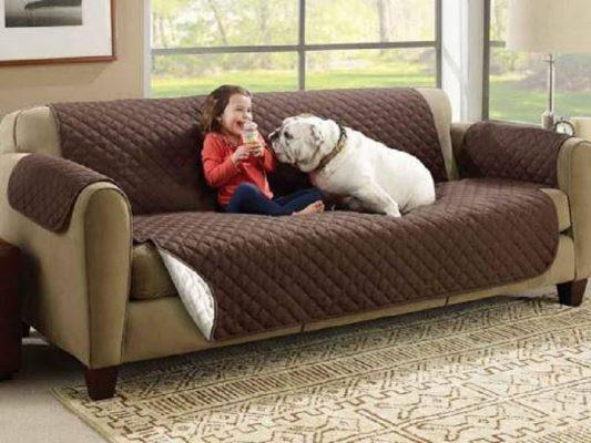 Nhà có thú cưng nên chọn ghế sofa nào? Cách vệ sinh sofa khi nhà có vật nuôi?