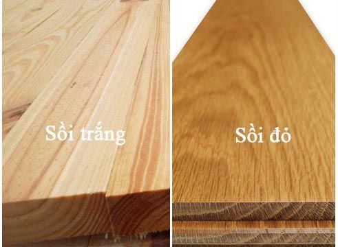 So sánh gỗ sồi trắng và gỗ sồi đỏ