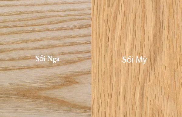 Sự khác nhau giữa sồi Nga và sồi Mỹ