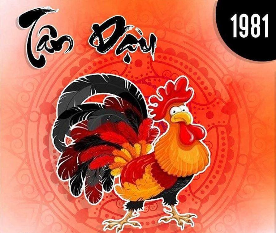 Phong thủy nhà ở cho người tuổi Tân Dậu sinh năm 1981