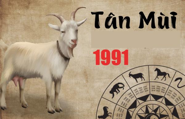 Sinh năm 1991 tuổi gì? Cung mệnh tuổi Tân Mùi cho người 1991