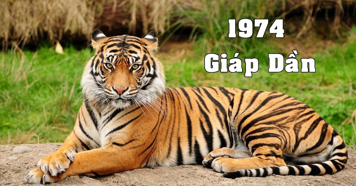 1974 tuổi gì? Mệnh gì? Hợp với tuổi nào?