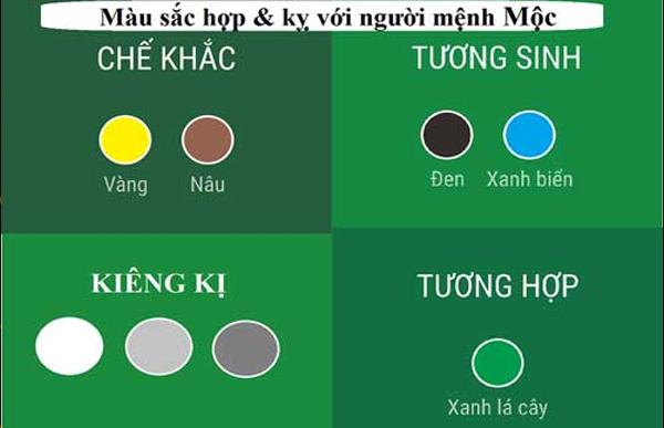 Màu sắc tương sinh, tương khắc với mệnh Mộc