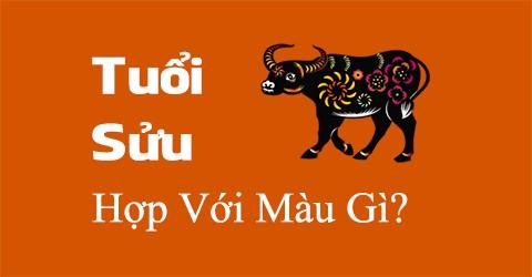 sinh năm 2021 hợp màu gì