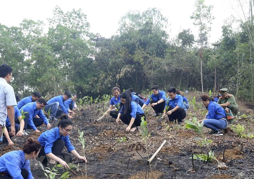 Hoạt động trong ngày quốc tế thanh thiếu niên