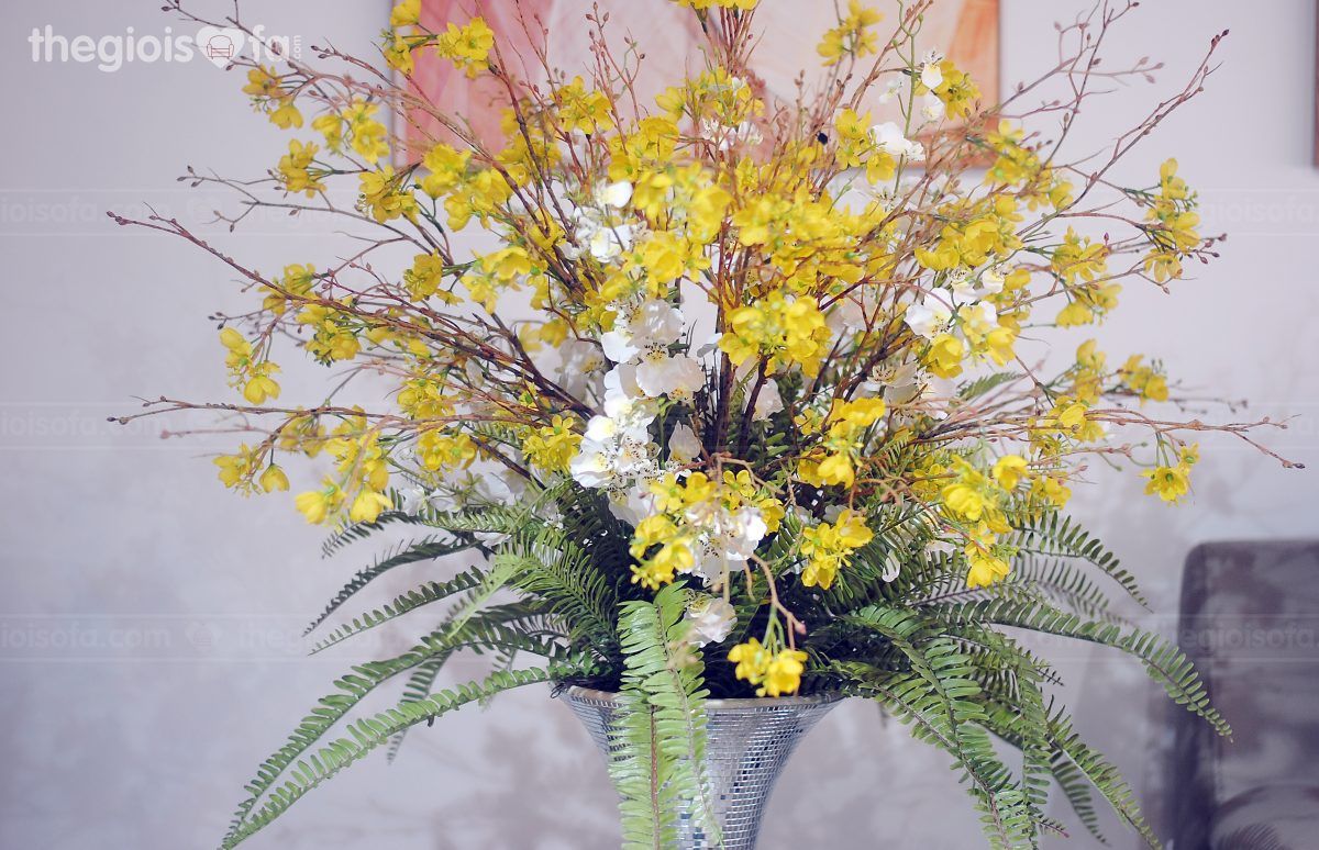 American apricot flowers (hoa mai mỹ vàng)
