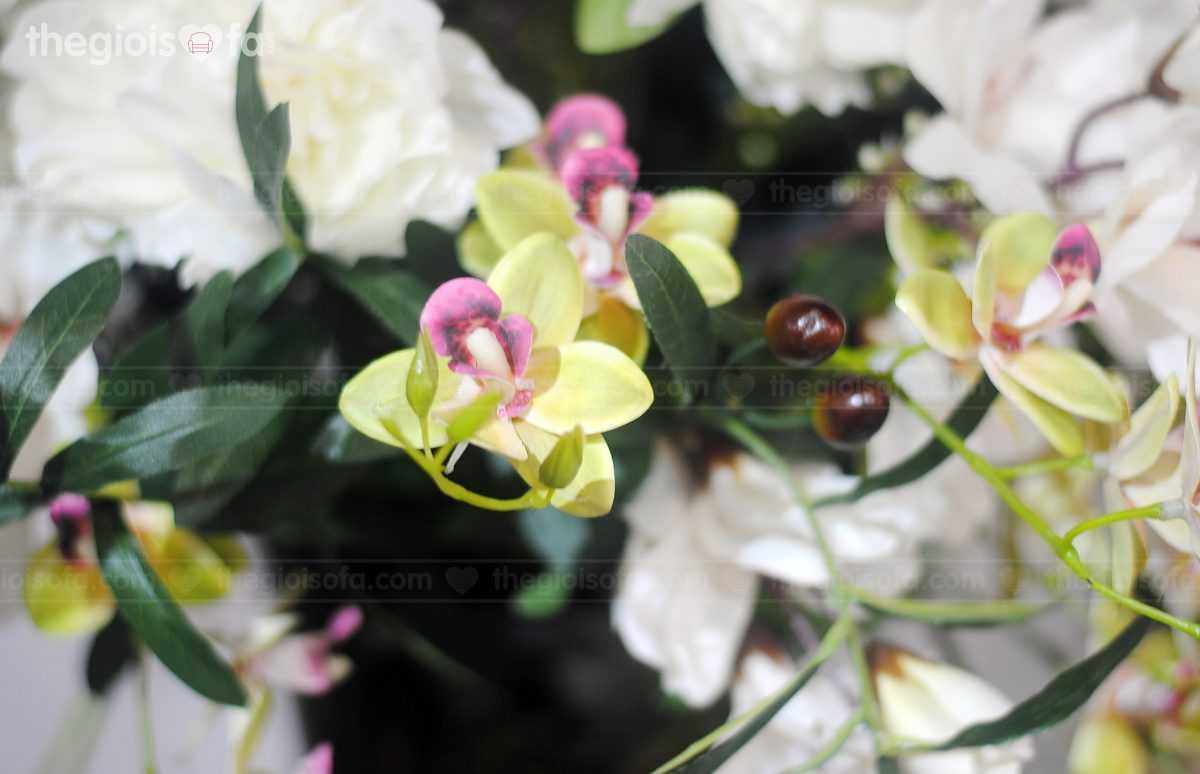 East Asian orchids (hoa lan đông á)