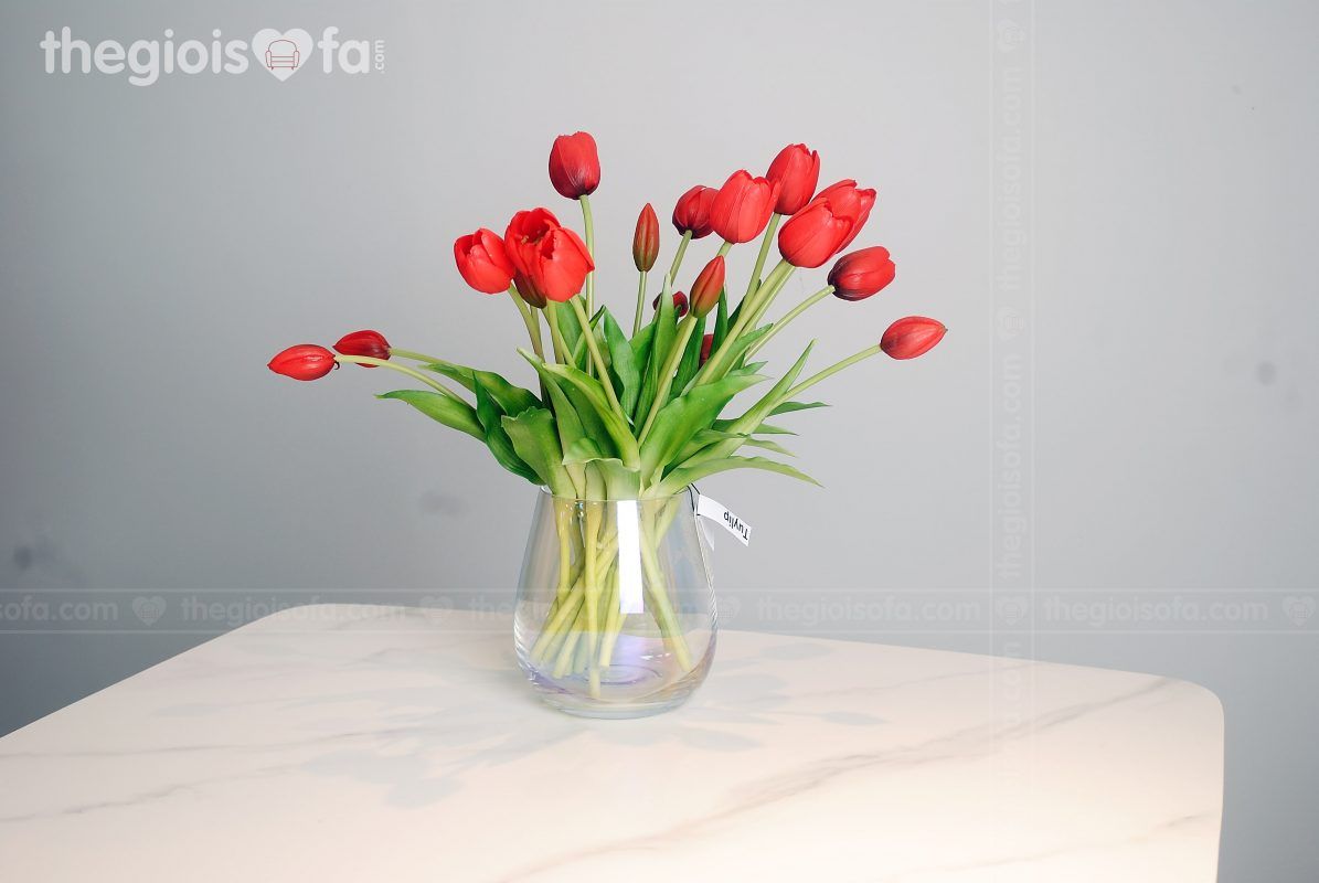 Tulip 2021 (hoa Tulip)
