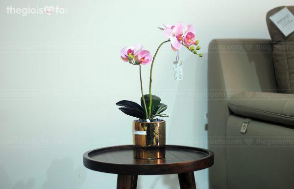Cách chọn hoa trang trí phòng khách đẹp đốn tim vạn người
